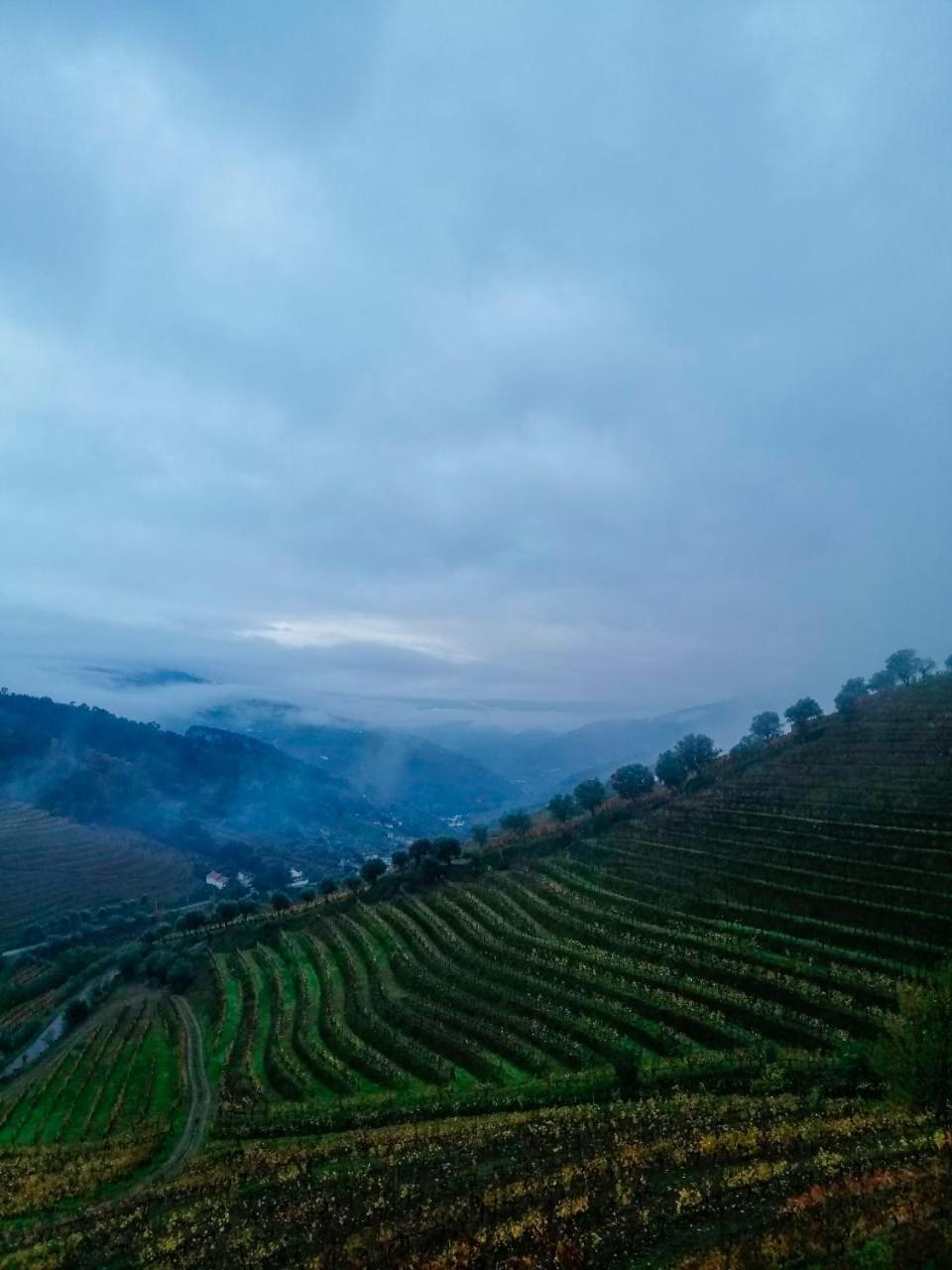 Quinta De Baixo Villa Vila Marim Bagian luar foto