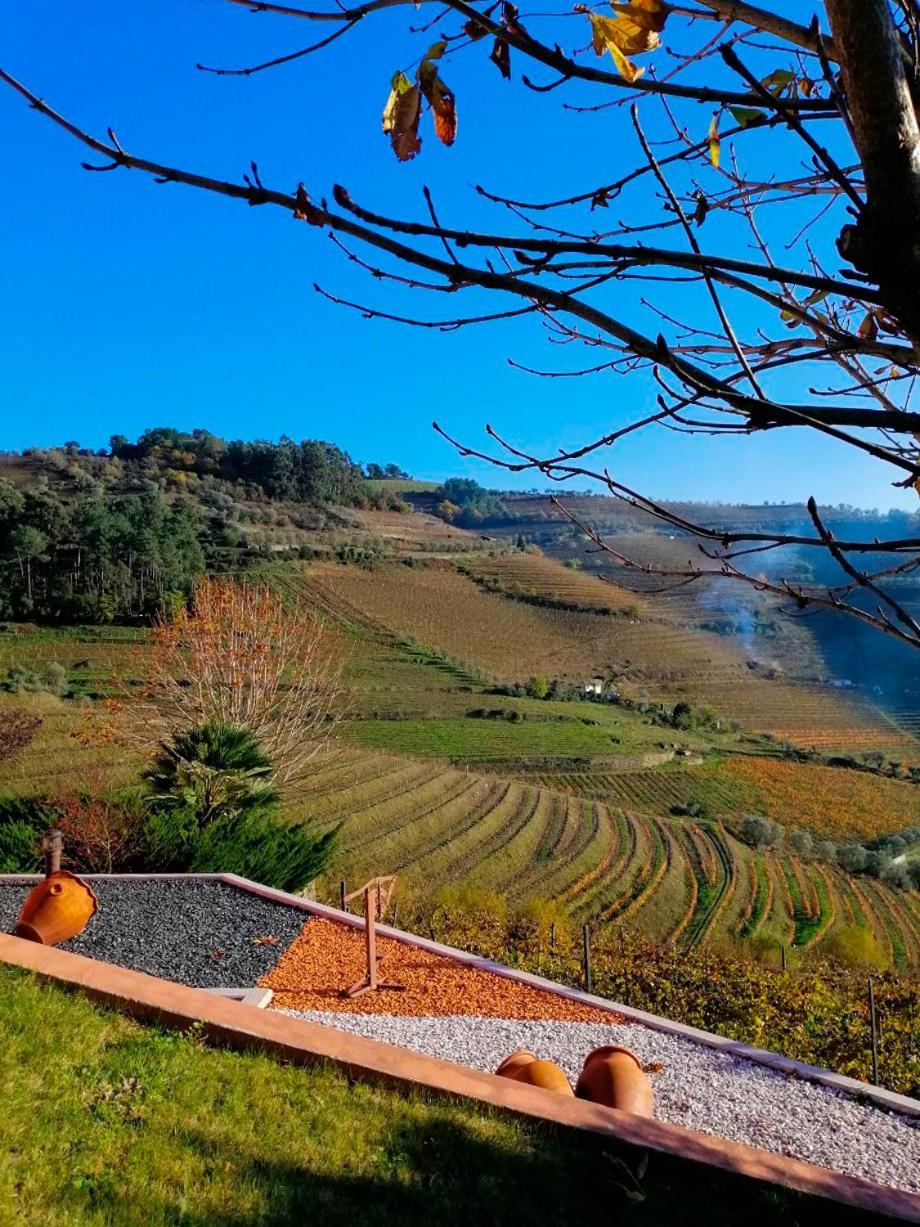 Quinta De Baixo Villa Vila Marim Bagian luar foto