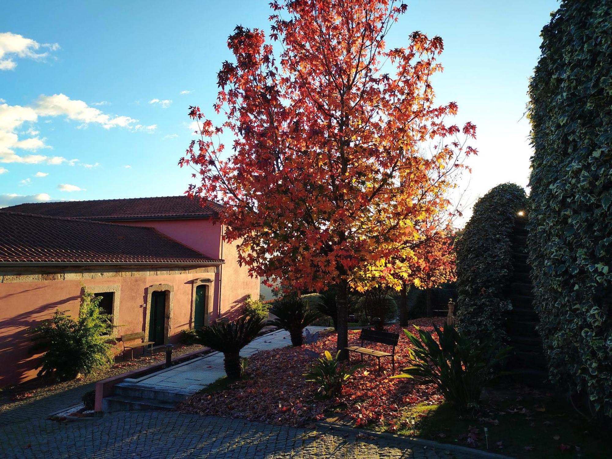 Quinta De Baixo Villa Vila Marim Bagian luar foto